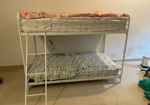 Tazo Bunk Bed photo review